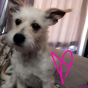 Meet your Posher, Heylie